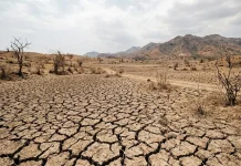 Fenomena El Nino 2026 Berpotensi Perpanjang Musim Kemarau NTT