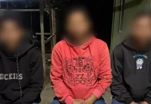 Pelaku Pembakaran Burung Hantu Viral di Medsos Ditangkap Polisi