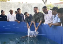 Usman Husin Serahkan Bantuan Bioflok Nila Sumba Barat