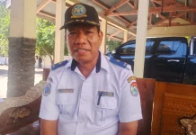 Karnaval HUT RI ke-81 Sumba Timur Angkat Semangat Kebersamaan