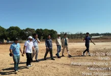 Kemenpora Apresiasi PCI NTT Bangun Lapangan Cricket Swadaya Siap Jadi Venue PON