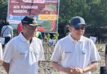 KKP Perkuat Kolaborasi Rehabilitasi Mangrove Rote Ndao