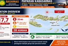 Gempa M7,7 Flores, 20 Orang Meninggal