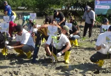 KKP dan Pemda Rote Ndao Tanam Mangrove Sambut HUT RI ke-81