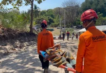 Kabasarnas Pantau Langsung Operasi SAR Gempa Flores