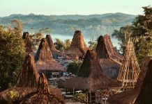 Mbuku Bani, Kampung Bersejarah Penentu Pelaksanaan Tradisi Pasola