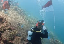 HUT ke-81 RI, Kantor SAR Kupang Kibarkan Sang Merah Putih di Bawah Laut