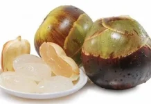 Manfaat Buah Lontar bagi Kesehatan, Kaya Nutrisi dan Senyawa Bioaktif