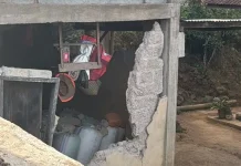 Belasan Ribu Rumah Rusak akibat Gempa Flores