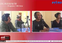 Sinergi Pengurus dan Atlet Bawa Akuatik Rote Ndao Ukir Prestasi