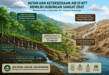 Hutan dan Ketersediaan Air di NTT Memiliki Hubungan Sangat Erat