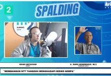 Bangunan Tangguh Jadi Kunci Mitigasi Risiko Gempa di NTT