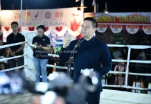 Kejuaraan Tinju Jadi Ruang Pembinaan Atlet Kota Kupang