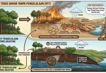 Praktik Tebas Bakar Disebut Memperbesar Kerusakan Tanah di NTT