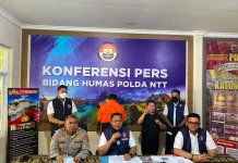 Polda NTT Tangkap Admin Lika Liku NTT