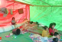 Dampak Gempa Flores Tak Hanya di Kampung, Mahasiswa di Kupang Ikut Merasakan