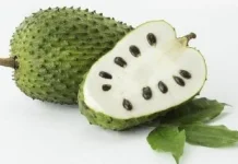 Khasiat Buah Sirsak untuk Tubuh