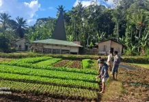 Babinsa Dorong Semangat Petani Perkuat Ketahanan Pangan Desa