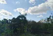 BMKG: Cuaca Cerah, Angin Kencang di Wilayah NTT, Dua September