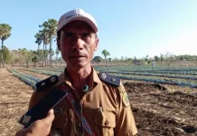 Semangka Nitneo Jadi Potensi Ketahanan Pangan Kupang