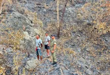 Babinsa Koramil Karera Pantau Bekas Kebakaran Cegah Karhutla