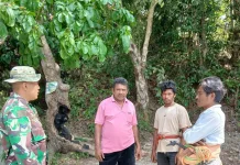 Babinsa Dorong Petani Desa Harona Kalla Percepat Tanam Padi