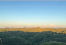 Savana Sumba Hadapi Ancaman Kebakaran dan Degradasi Ekosistem