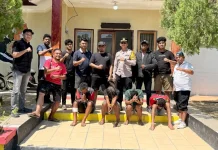 Tim Buser dan Polsek Haharu Ungkap Curnak, Tiga Pelaku Diamankan