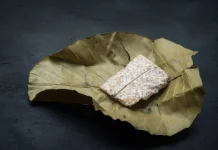 Berbagai Olahan Tempe yang Lezat dan Mudah Dibuat