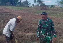 Serka Masrin Aktif Dampingi Warga Tingkatkan Ketahanan Pangan