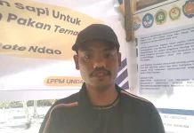 Kelompok Tani Hitiheu Dukung Program Desa Binaan Undana Kupang