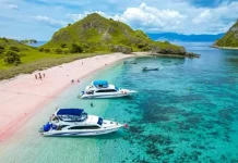 Sektor Pariwisata Flores Kembali Dibuka Pasca Gempa Bumi
