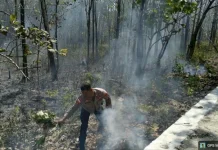 Cegah Karhutla Meluas Polres Malaka Padamkan Titik Api di Hutan Kateri