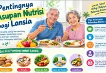 Pentingnya Asupan Nutrisi bagi Lansia