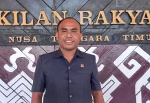 DPRD NTT Dorong Pengamanan Ekstra bagi ASN NTT yang Bertugas di Papua