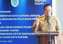 Christian Widodo: Digitalisasi Pasar Ubah Tata Kelola