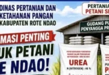 Dinas Pertanian Rote Ndao Pastikan Pupuk Bersubsidi Tersedia