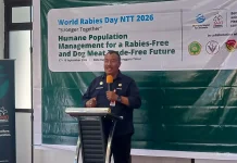 Vaksinasi Rabies di Kupang Capai 90 Persen, Pemkot Masih Hadapi Penolakan Warga