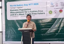 Kasus Rabies Menurun di NTT, UPTD Veteriner Tetap Siagakan Respons Cepat