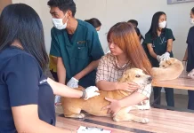 RSHP Undana Seleksi Ketat Hewan untuk Sterilisasi Massal