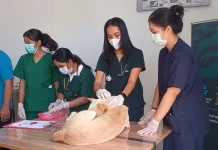 Peringati Dies Natalis dan World Rabies Day, RSHP Undana Sediakan 50 Vaksin Gratis