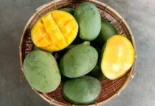 Empat Makanan Olahan Mangga yang Lezat dan Menarik