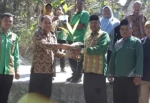 Madrasah Ibdtidaiya Negeri Tanam Tanaman Produktif Dilingkungan Sekolah