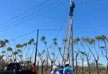 PLN Uji Jaringan 1,2 KM di Dusun V Laindeha, Listrik Warga Sumba Timur Segera Menyala