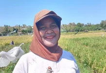 Petani Perempuan Sulamanda Rasakan Manfaat Peningkatan Aktivitas Pertanian