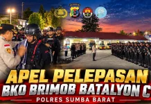 Kapolres Lepas BKO Brimob Batalyon C: Jaga Sumba Barat, Apresiasi Kebersamaan