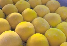 Modal Nekat, Mochi Kita Kini Sukses dengan 18 Varian Rasa