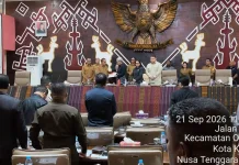 PDI Perjuangan Minta Anggaran Bencana Diperkuat NTT