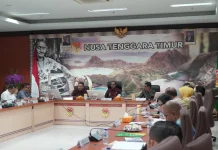 Wagub Johni dan Komisi IX DPR RI Bahas Penanganan PMI Non-Prosedural di NTT