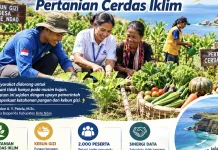 Kabupaten Rote Ndao Integrasikan Kebun Gizi Dengan Pertanian Cerdas Iklim
